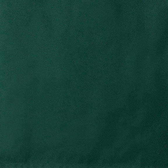 フォレストグリーンを表す画像