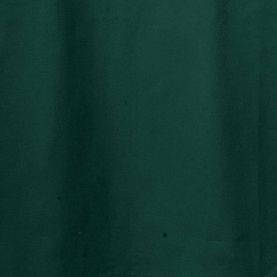 フォレストグリーンを表す画像