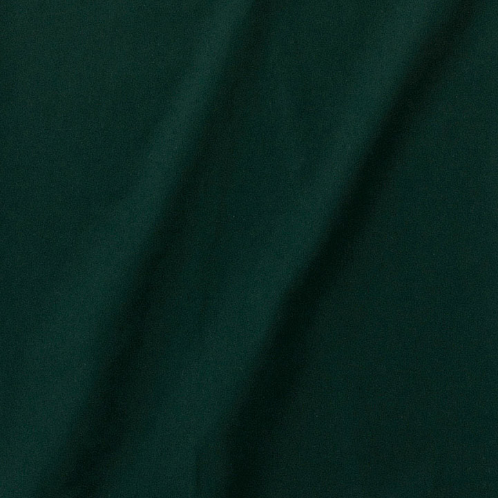 フォレストグリーンを表す画像